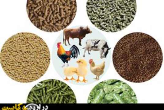 مراکز فروش بنتونیت خوراک دام در ارومیه